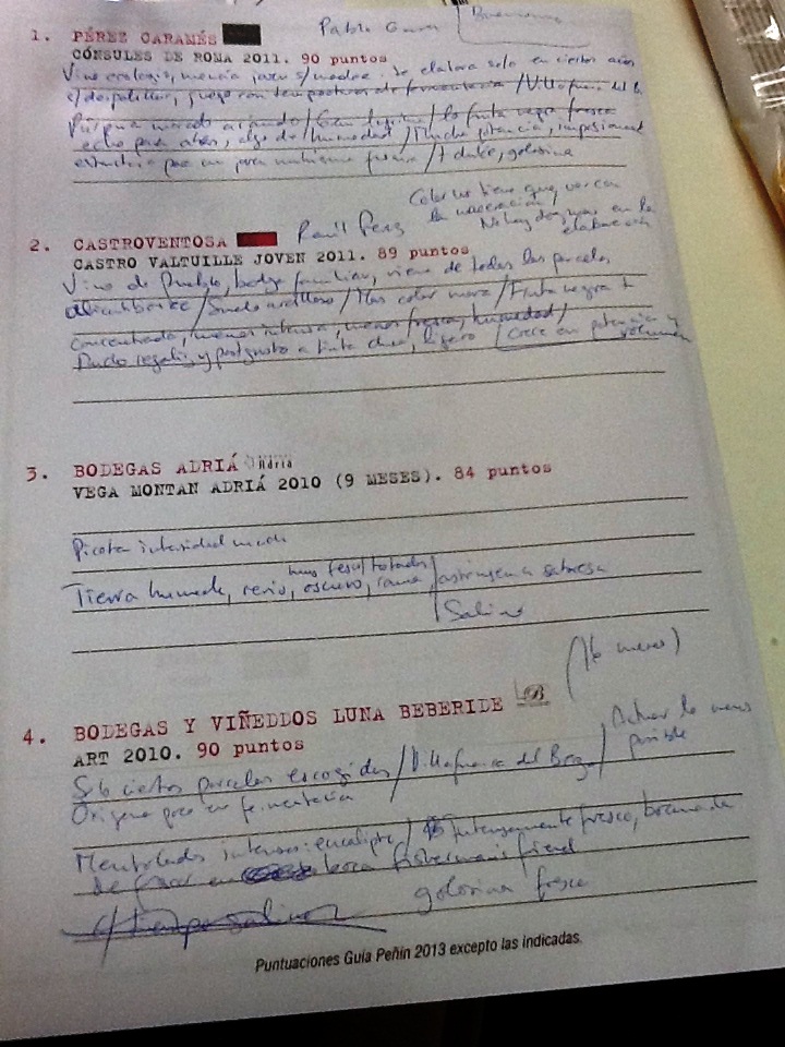 El_Bierzo_Cata_Encuentro_Bloggers_Enologos_Notas